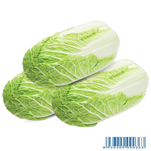 Cải Thảo - Chinese Cabbage