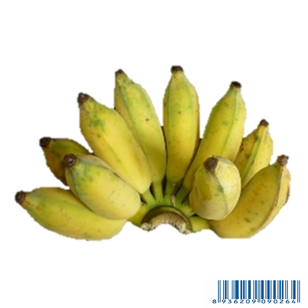 Chuối Xiêm - Banana