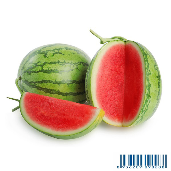  Dưa hấu - Melon